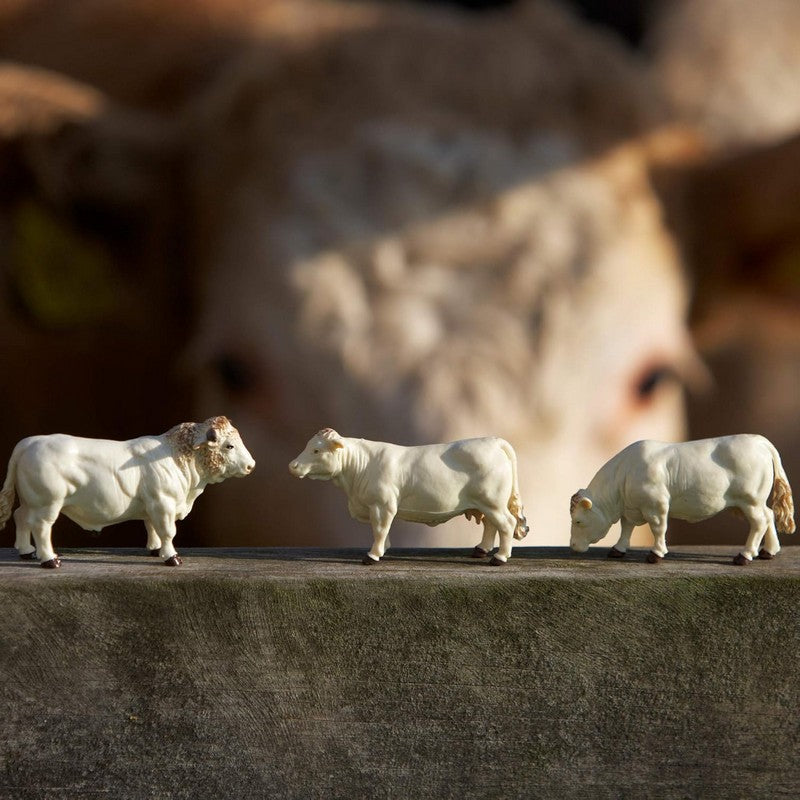 Britains Charolais Cows Set 1:32 Scale