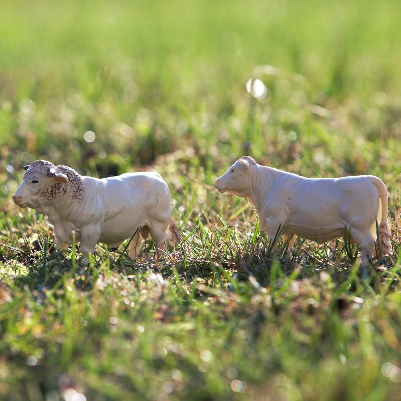 Britains Charolais Cows Set 1:32 Scale