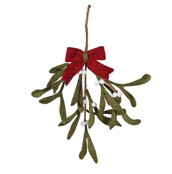 Red Bow Hanging Mistletoe