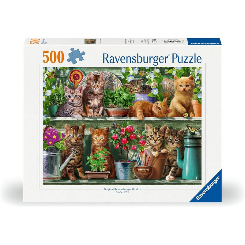 Ravensburger Cats on the Shelf - 500 Piece Jigsaw