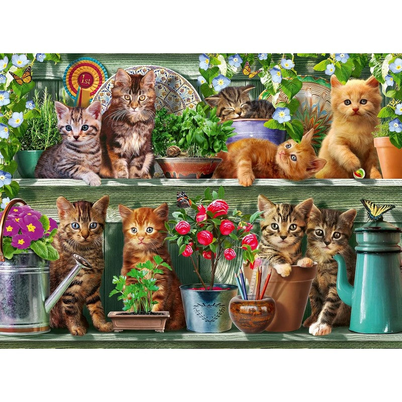 Ravensburger Cats on the Shelf - 500 Piece Jigsaw