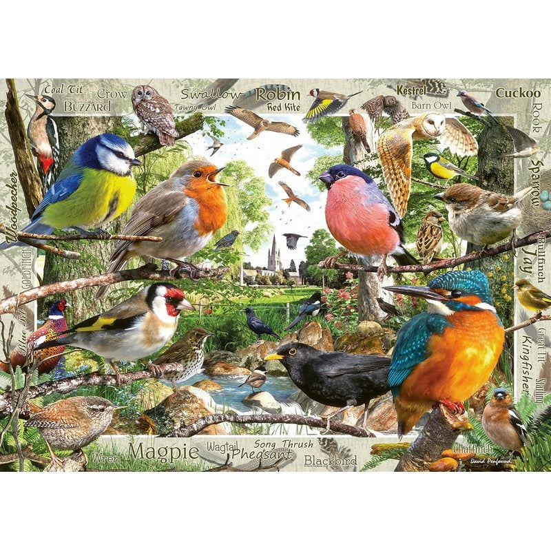 Ravensburger Our Feathered Friends - 1000 Piece Jigsaw