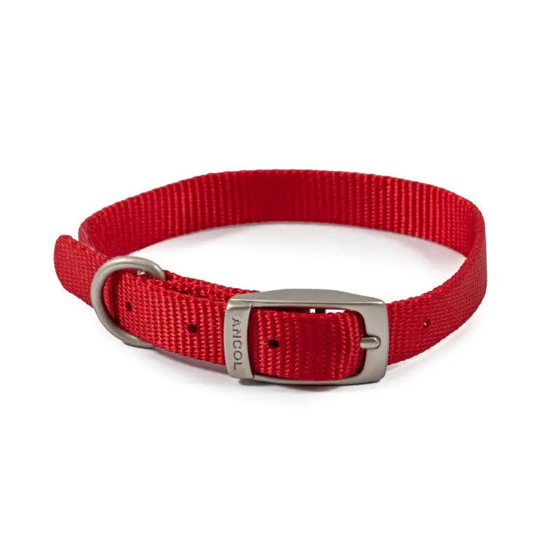 Ancol Viva Buckle Dog Collar 1 20-26cm Red - Pet Supplies