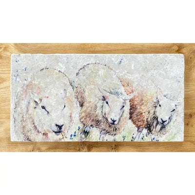 Marble Large Sharing Trivet 20 x 40cm - Woolly Institute