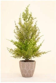 Frosted Potted Tree 40cm