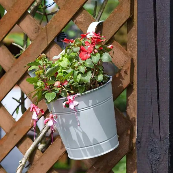 Smart Garden 6’’ Fence & Balcony Hanging Pot - 3