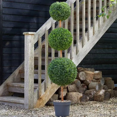 Smart Garden Trio Topiary Tree 150cm - Garden & Outdoor