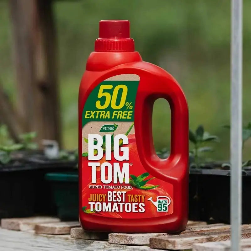 Westland Big Tom Super Tomato Food - 1.25 Litre + 50% Extra