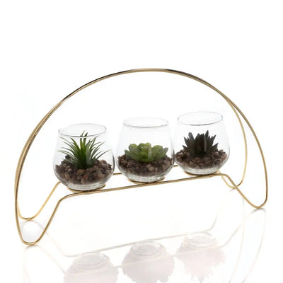 Widdop Hestia Trio Succulent Gold Hoop Frame - Decor