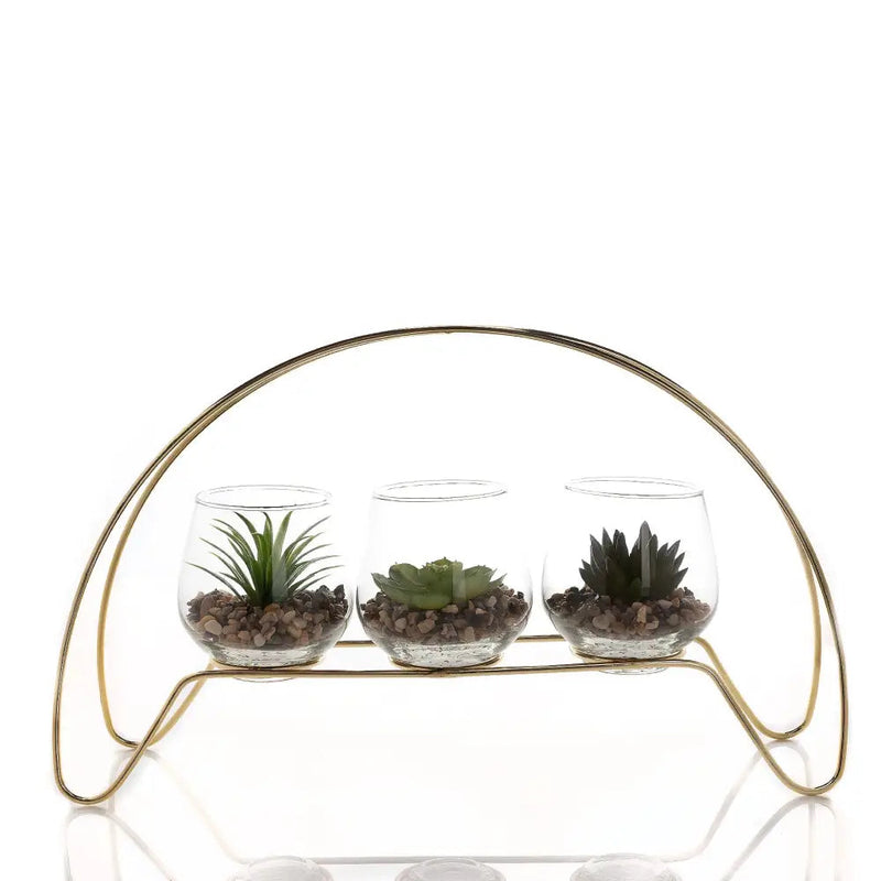 Widdop Hestia Trio Succulent Gold Hoop Frame - Decor